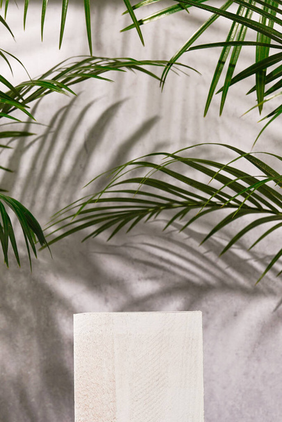 Stand pubblicitario prodotti cosmetici. Mostra podio bianco su sfondo grigio cemento con foglie di palma e ombre. Piedistallo vuoto per visualizzare l'imballaggio del prodotto. Mockup - Foto, immagini
