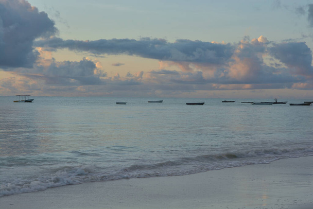 Наслаждайтесь тишиной во время цветения на океанском побережье парадизе острова Занзибар - Фото, изображение