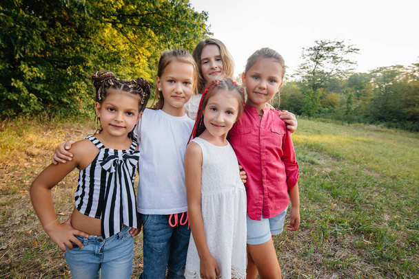 A group of cheerful girls are smiling and playing in the Park during sunset. Children's summer camp - Zdjęcie, obraz