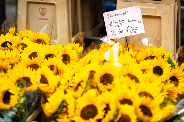 Der Blumenmarkt in West London im Sommer, Großbritannien - Foto, Bild