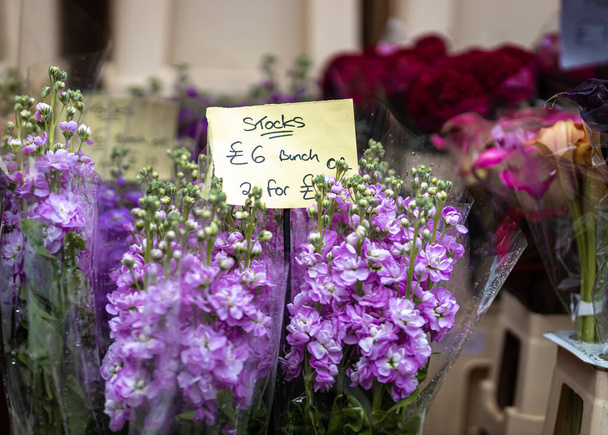 Le marché aux fleurs dans l'ouest de Londres en été, Royaume-Uni - Photo, image
