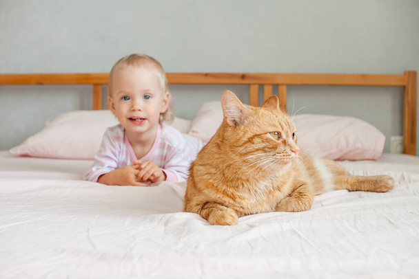 A little cute girl sits on the bed with a fat ginger cat, strokes and plays with him. - Fotoğraf, Görsel