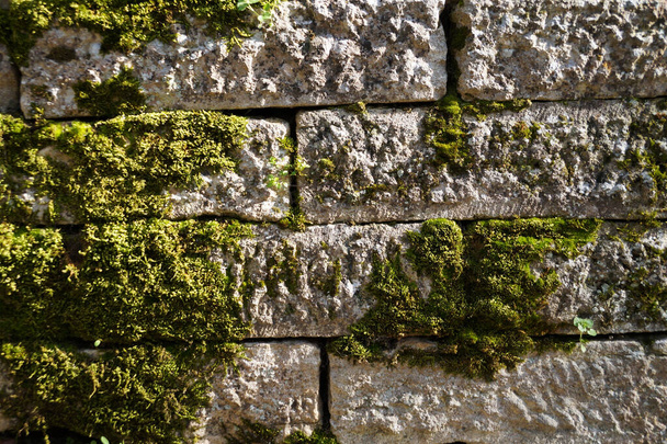 alte weiße Steinmauer mit grünem Moos bewachsen für Nahaufnahmen im Hintergrund - Foto, Bild