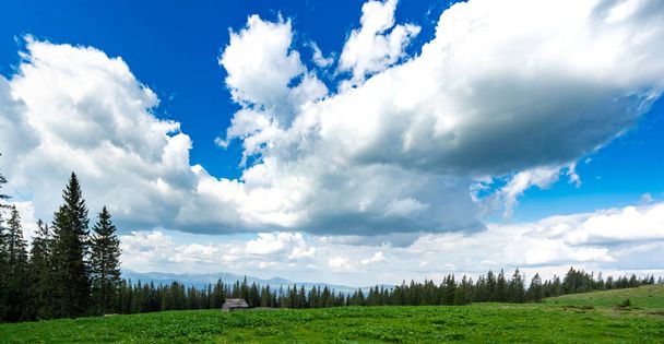 Panorama de um prado montês, céu azul e nuvens. Vista da montanha. Viagens e férias nas montanhas. - Foto, Imagem