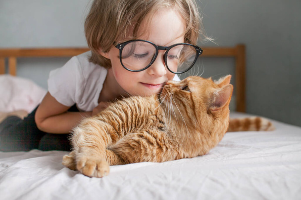 little girl with glasses lies on the bed and hugs a fat ginger cat. - Fotó, kép