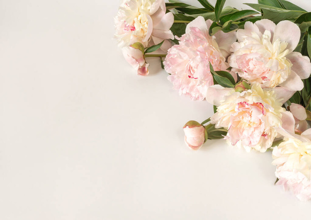 A bouquet of beige-pink peony flowers on a light paper background with space for text. Image for the design of greeting cards on the theme of wedding, Mother's Day, birthday and other greetings - 写真・画像