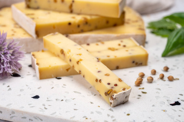 Cheese collection, matured yellow cow cheese with mustard seeds from Belgium - Photo, Image
