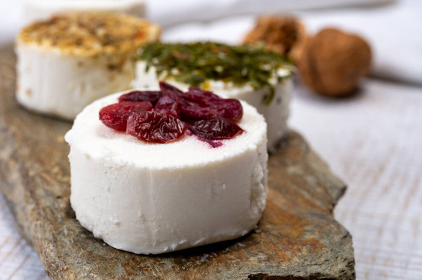 Juusto kokoelma, erilaisia tuoreita valkoinen pehmeä vuohi Ranskan juustot aromaattisia yrttejä, marjoja ja vihreä pesto lähikuva - Valokuva, kuva