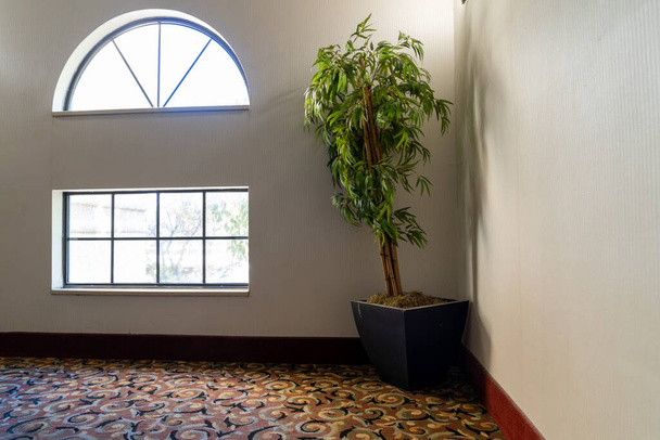 Φυτό σε γλάστρα και μεγάλο παράθυρο στο λόμπι του ξενοδοχείου, χωρίς ανθρώπους - Φωτογραφία, εικόνα