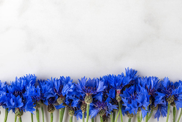 Blauwe korenbloemen. Zomer wilde bloemen op witte marmeren achtergrond. bovenaanzicht met kopieerruimte. Vlakke wip. bloemige achtergrond - Foto, afbeelding