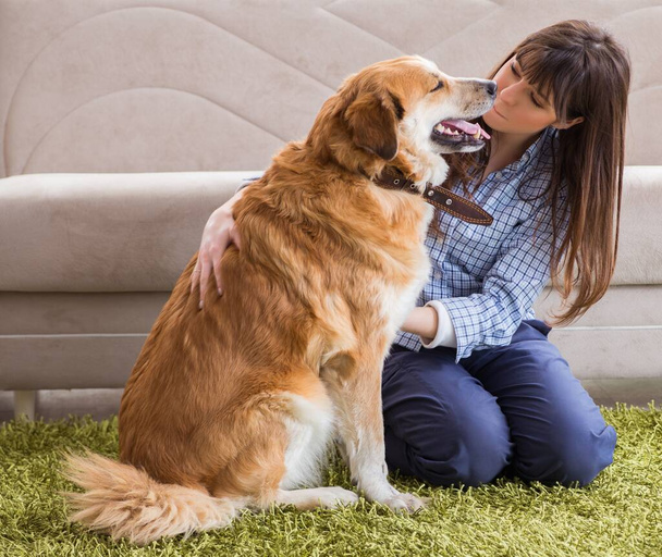 Felice donna cane proprietario a casa con golden retriever - Foto, immagini