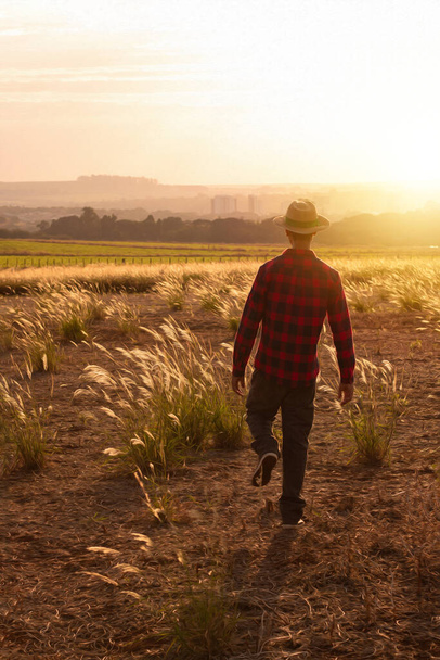 Boer met hoed op boerderij plantage bij zonsondergang. Gebouwen en troebele achtergrond. - Foto, afbeelding
