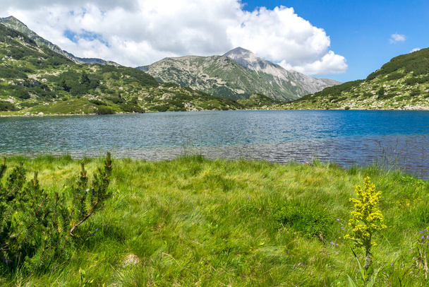 Summer landscape of Fish Banderitsa lake at Pirin Mountain, Bulgaria - Valokuva, kuva