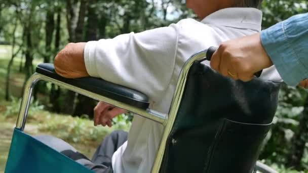 Παππούς σε αναπηρικό καροτσάκι με εγγονή που απολαμβάνει τη φύση στο πάρκο. Οικογενειακή ζωή σε διακοπές. - Πλάνα, βίντεο