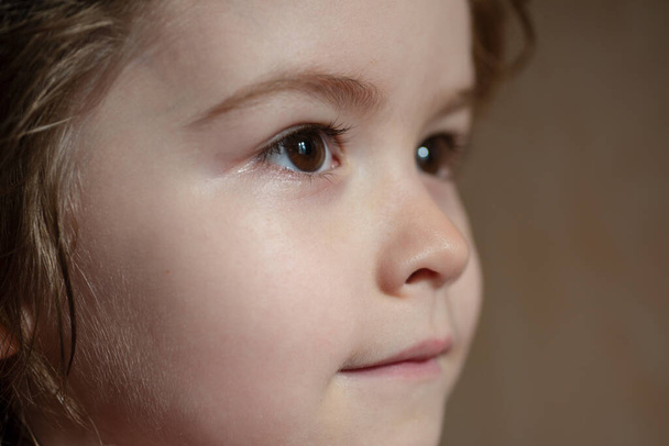 Portrait of little boy. Concept of kids face close-up. Head shoot children profile portrait. - Foto, Bild