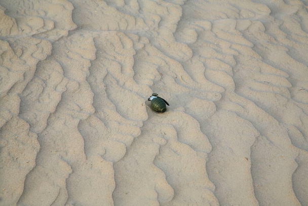 Hand Grenade. Hand grenade in the sand. Un-exploded hand grenade lays in sand. Mk-2 hand grenade. - Photo, Image