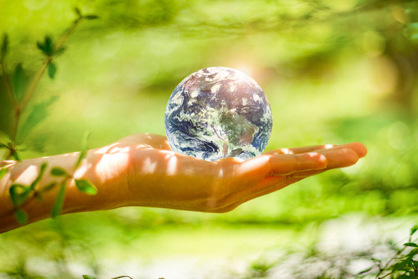 Kézzel tartott földgömb üveg zöld erdőben a természet háttere felett. Környezetvédelmi koncepció - A NASA által biztosított kép elemei. - Fotó, kép