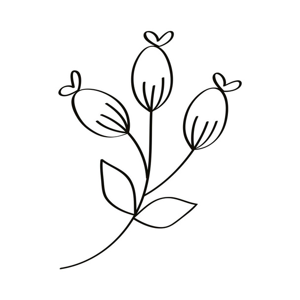 sketch flowers garden - Vetor, Imagem