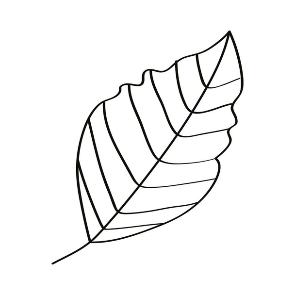 leaf nature icon - Vektori, kuva