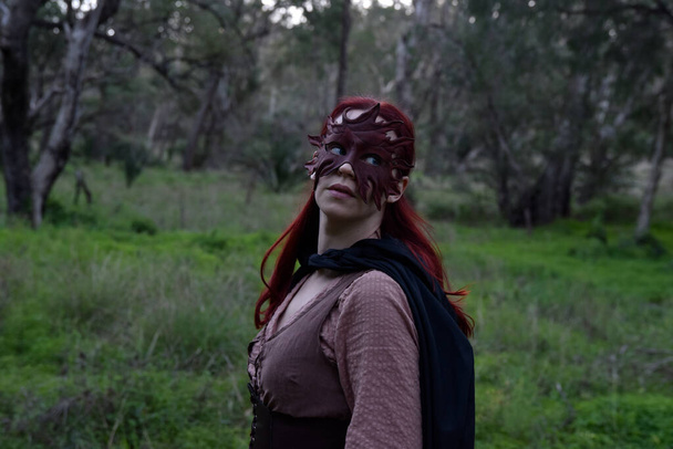  Gezgin bir maceracının fantezi ortaçağ kıyafetleri giyen kızıl saçlı kızın portresi. Orman ormanlarında doğal ışık.. - Fotoğraf, Görsel