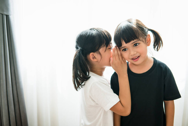 happy little Asian siblings sharing secrets - Photo, Image