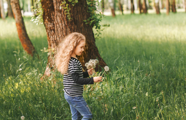 Kleines lachendes Mädchen sammelt im Sommer weißen Löwenzahn im Park - Foto, Bild