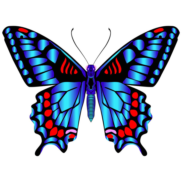 Krásný jasně modrý motýl. Izolovaná vektorová ilustrace. - Vektor, obrázek