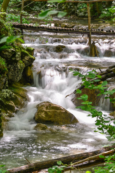 Ratsioita metsävirrassa, Susara-joella, Romaniassa. Vesiputoukset joen virtauksessa - Valokuva, kuva
