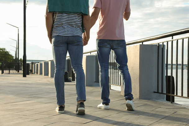 Gay couple walking outdoors on sunny day, back view - Foto, immagini