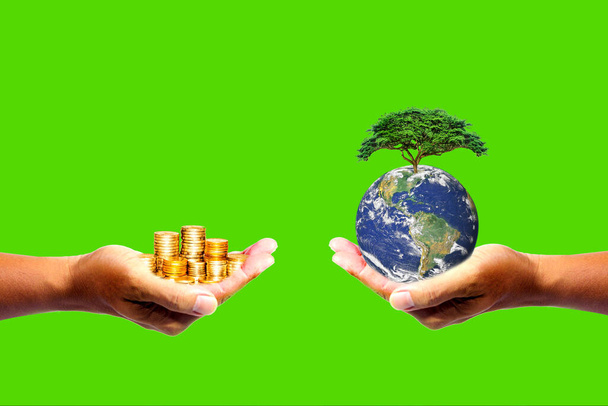 左手にはお金がある。木を持つ右手そこにはボケの背景があります。デザインコンセプト自然や資本主義。写真の要素はNASAによって装飾されています - 写真・画像