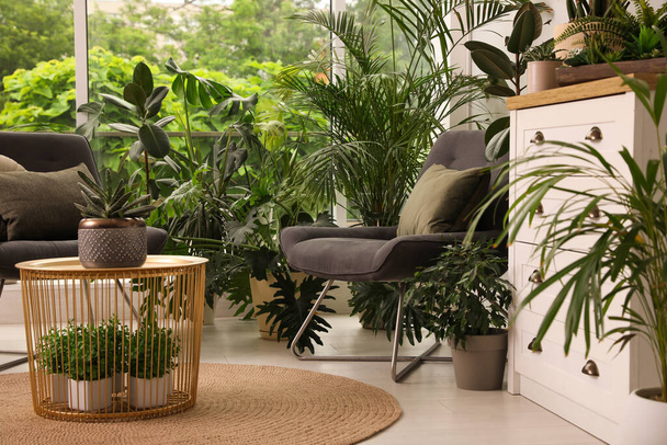 Lounge area interior with comfortable armchairs and houseplants - Foto, Imagem