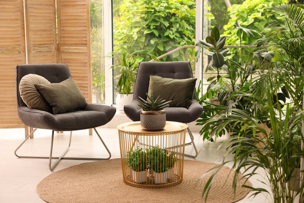 Lounge area interior with comfortable armchairs and houseplants - Fotó, kép