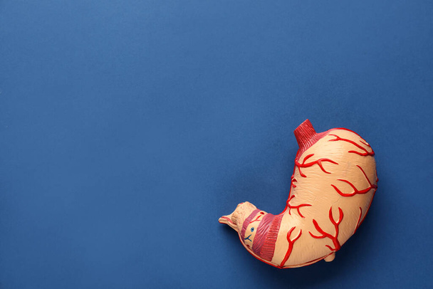 Anatomical model of stomach on blue background, top view with space for text. Gastroenterology - Φωτογραφία, εικόνα