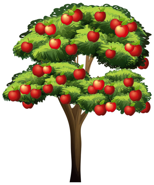 Apple tree isolated on white background illustration - Vetor, Imagem