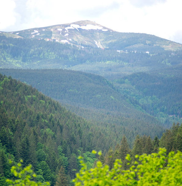 Pasmo górskie w Karpatach Ukraińskich w wiosenny dzień. Odpocznij i podróżuj w górach. Piękny krajobraz. - Zdjęcie, obraz