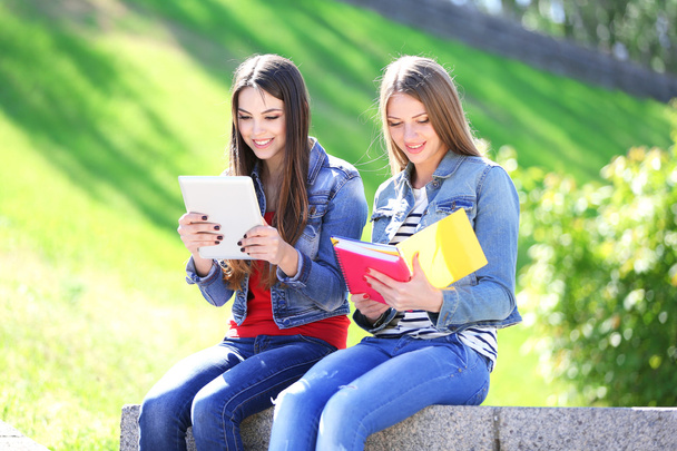 Happy students sitting in park - Photo, image