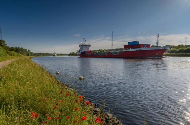 Blick auf den Nord-Ostsee-Kanal im Sommer mit Frachtschiffen, Schwänen und blühendem Mohn. - Foto, Bild