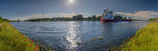 Blick auf den Nord-Ostsee-Kanal im Sommer mit Frachtschiffen, Schwänen und blühenden Mohnblumen. - Foto, Bild
