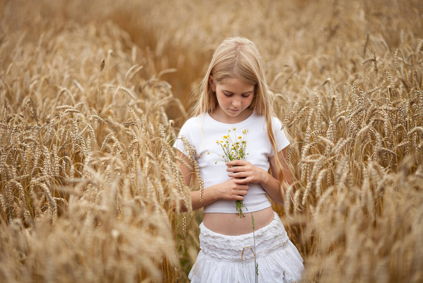 Ładna blondynka w białych ubraniach trzyma mały bukiet stokrotek na polu pszenicy. Naturalne piękno, letnia koncepcja, czas zbiorów. Skupienie selektywne. - Zdjęcie, obraz