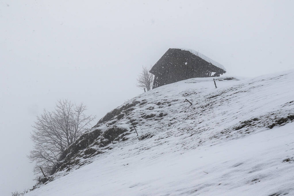 Foggy winter landscape in Grossarl, Austria - Φωτογραφία, εικόνα