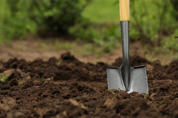 Shovel in soil outdoors, space for text. Gardening tool - 写真・画像