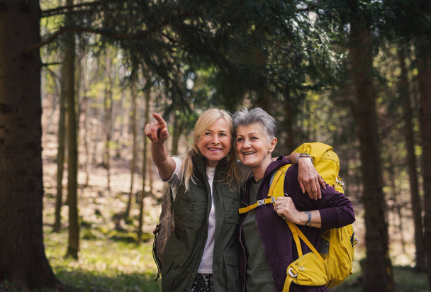 Senior women hikers outdoors walking in forest in nature, talking. - Фото, изображение