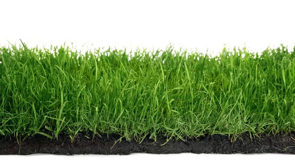 Soil with green grass on white background - Photo, Image