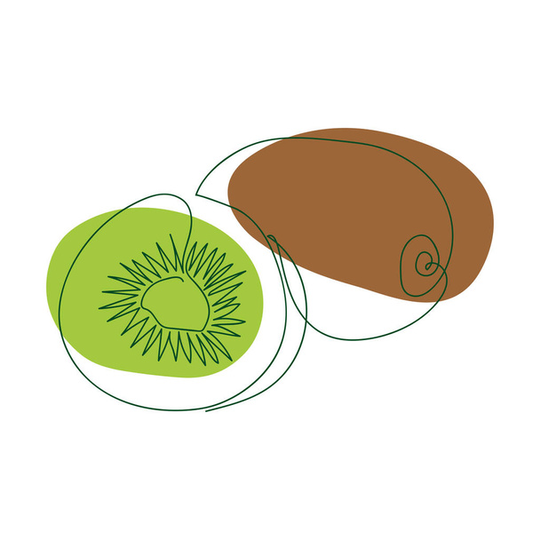 ručně kreslené celé kiwi a půl kiwi v jedné pevné čáře na pozadí abstraktních skvrn zelené a hnědé na bílém pozadí - Vektor, obrázek