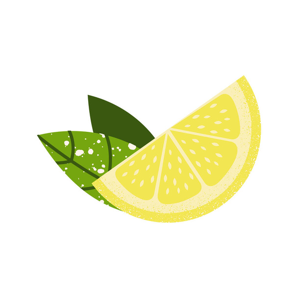 Lemon slice and green leaves isolated on white. Cute print for printing on decorative pillows, kitchen textiles, clothing. Vector graphics. - Vector, Image