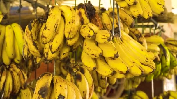 Skupina banánů na trhu. - Záběry, video