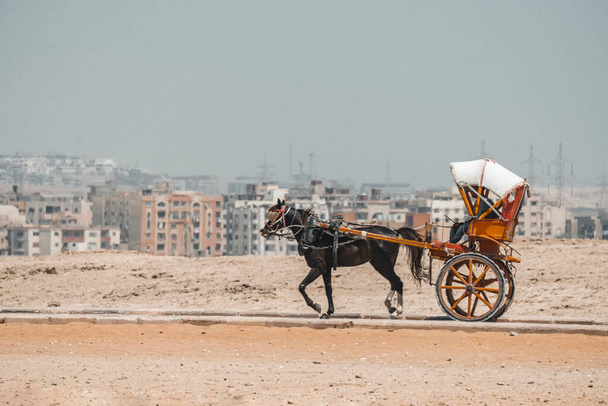 18 de mayo de 2021. Giza, El Cairo, Egipto. cochero lleva un carro en el fondo a lo largo de una carretera desierta en la moderna ciudad de El Cairo - Foto, imagen
