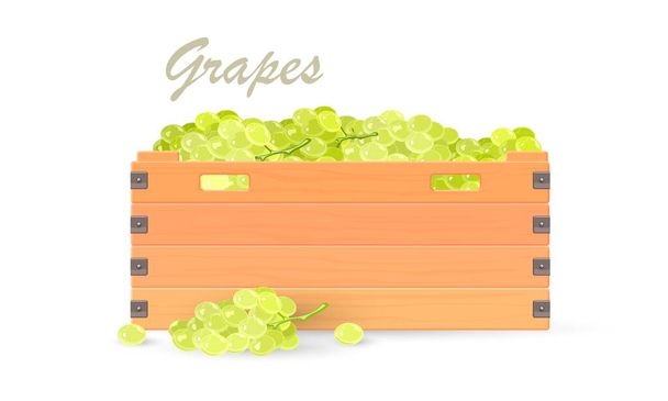 Сбор зеленого винограда в контейнере - Вектор,изображение
