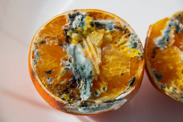 Kawałki Rotting Orange zbliżyć na tle - Zdjęcie, obraz