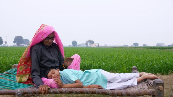 Nějaký indiánský chlapec spí na klíně své babičky, zatímco ona ho škrábe ke spánku. Stará indická babička z vesnice, která nutí svého vnuka spát na klíně uprostřed zelené zemědělské půdy - Záběry, video